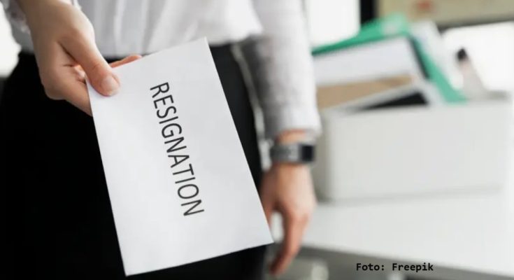apa itu boomerang career moves